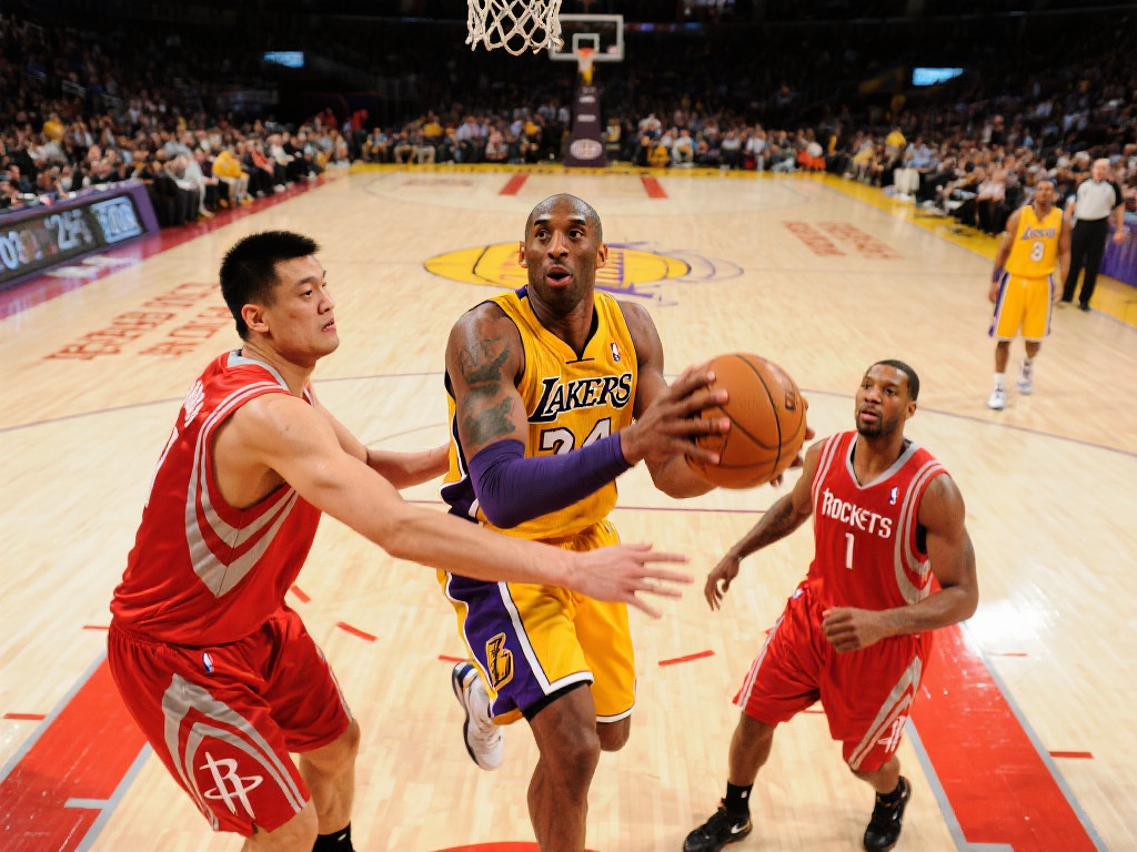 上的嗅觉极 上的嗅觉极